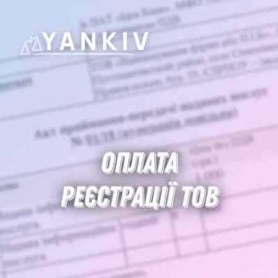 Реєстрація ТОВ + розробка структури бізнесу