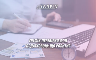 ФОП у графіку перевірок податкової: інструкція з підготовки та захисту прав