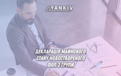 Декларація про майновий стан ФОП 2 групи - документи, календар перехідного періоду та розрахунок податків на загальній системі