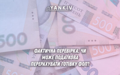 Перерахунок готівки ФОП податковою під час фактичної перевірки: права та обов'язки