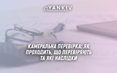 Kameralna perevirka yak prohodyt shho pereviryayut ta yaki naslidky