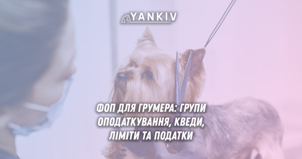 Ви-грумер? Тоді пора відкривати ФОП. Яку групу обрати, чи потрібен РРО