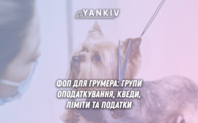 Ви-грумер? Тоді пора відкривати ФОП. Яку групу обрати, чи потрібен РРО