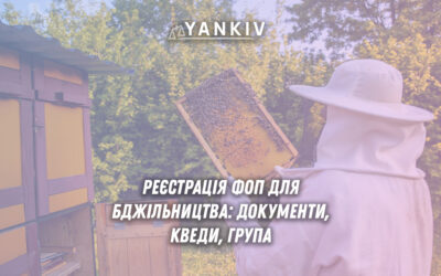 ФОП для бджільництва 2025: вибір групи спрощеної системи, КВЕД для меду та воскових свічок, реєстрація пасіки, паспорт, сертифікати.